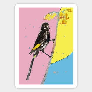 Australian Honeyeater Bird Painting - New Holland on Pale Blue and Yellow Sticker